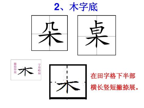 木字部首繁體字|木字旁的字